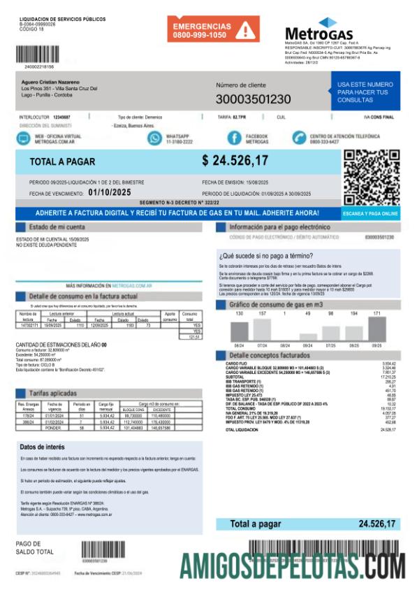 imprimível Argentina MetroGAS S.A. Factura De Gas PSD Template